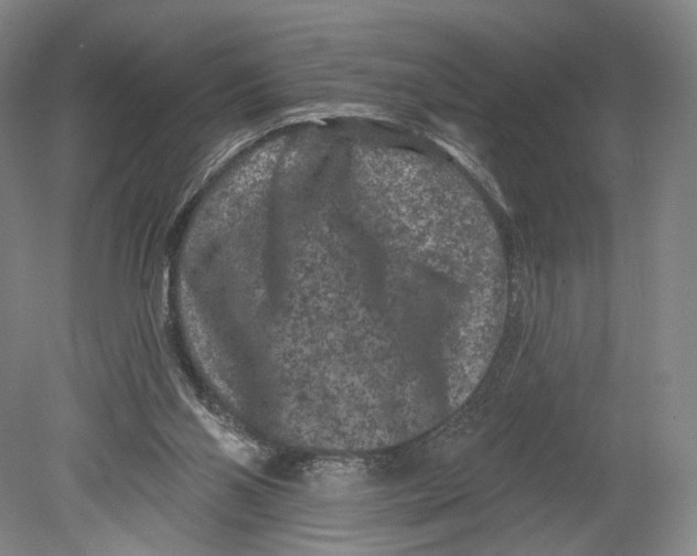 X0000080770110200701051312