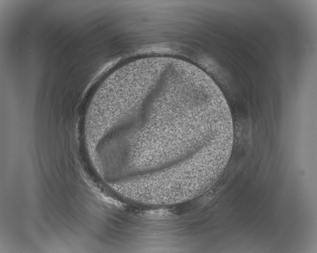 X0000080770112200701051312