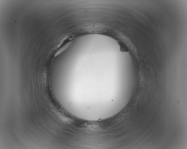 X0000080770113200701051312