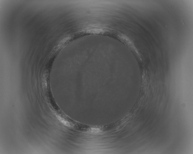 X0000080770114200701051312