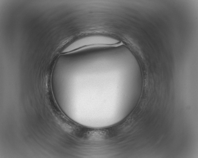 X0000080770115200701051312