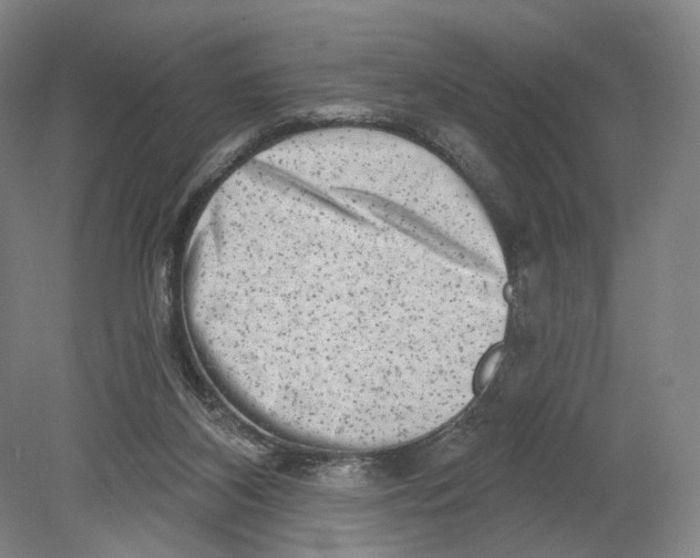 X0000080770116200701051312