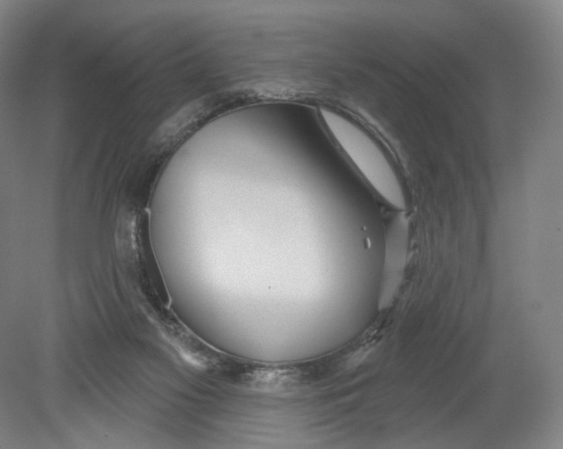 X0000080770117200701051312