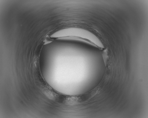 X0000080770125200701051312