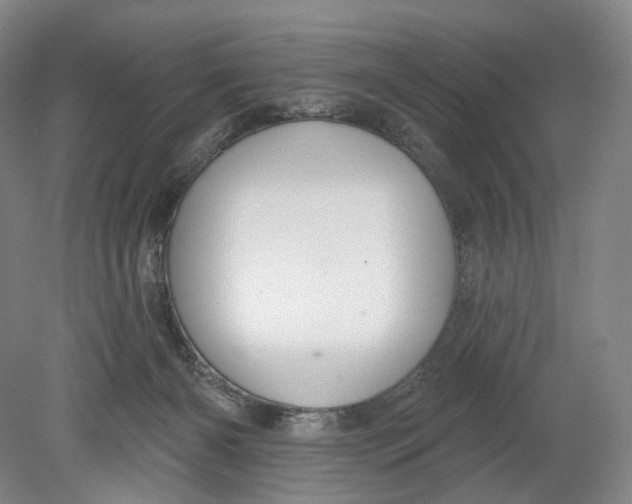 X0000080770126200701051312