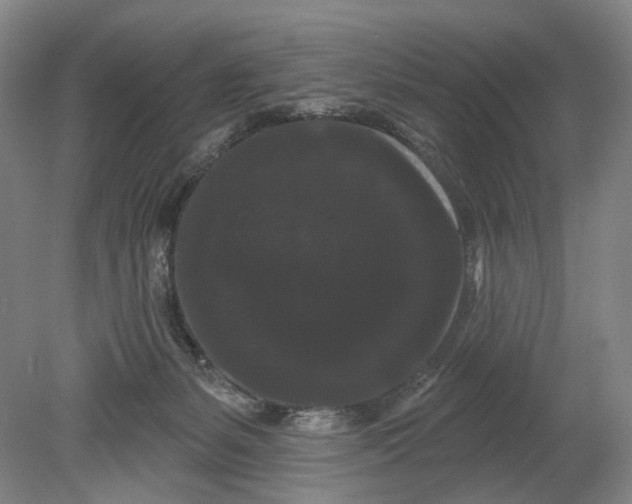 X0000080770127200701051312