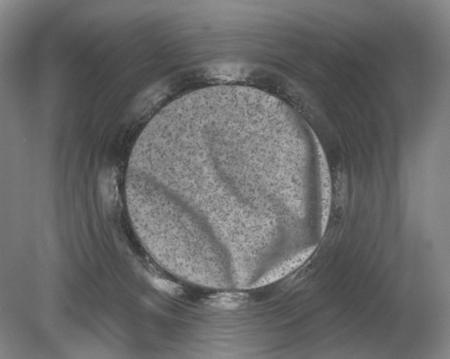 X0000080770128200701051312