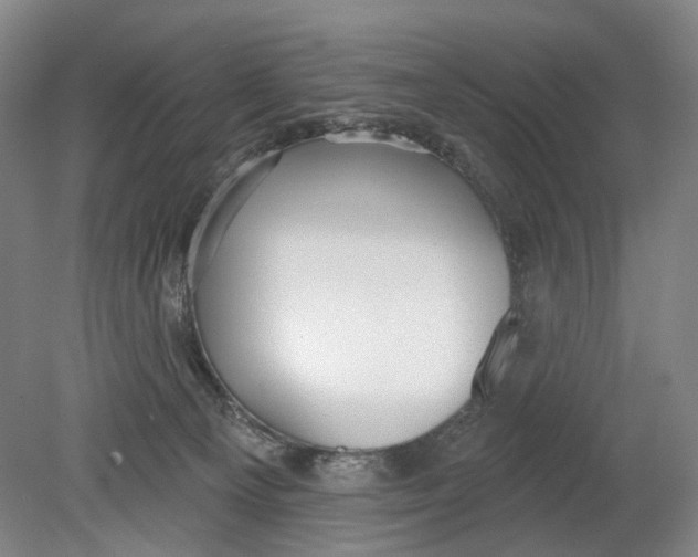 X0000080770129200701051312