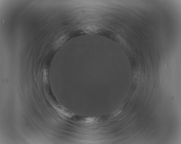 X0000080770130200701051312