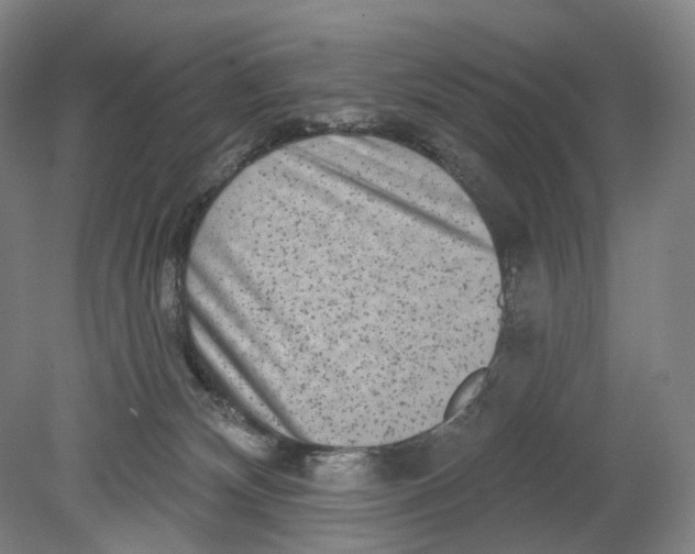 X0000080770132200701051311