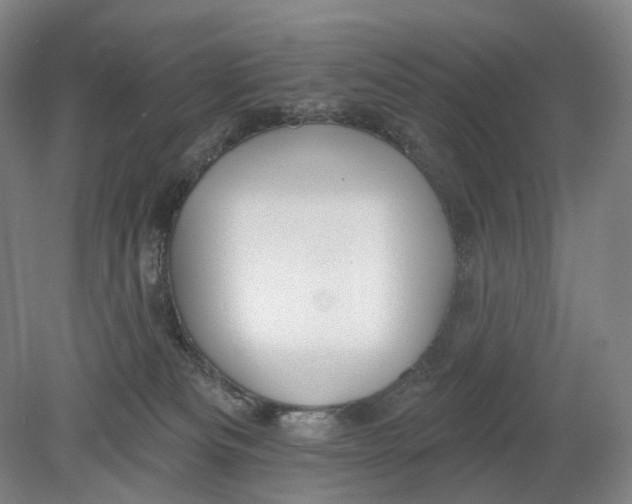 X0000080770133200701051311