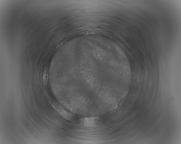 X0000080770134200701051311