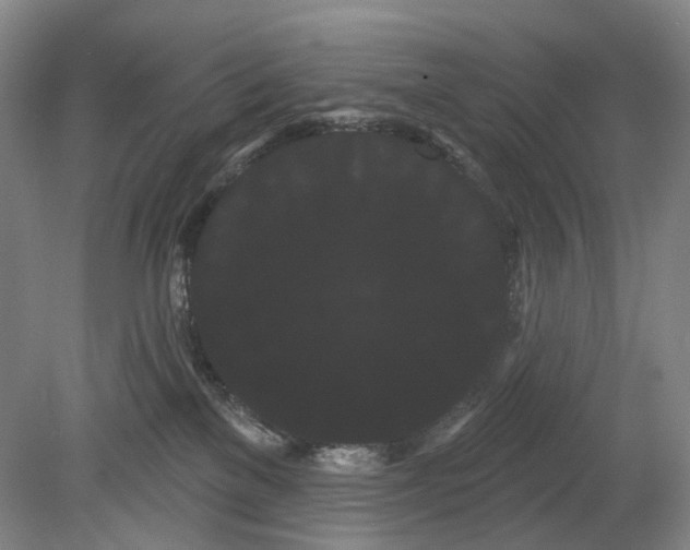 X0000080770137200701051311