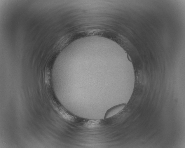 X0000080770138200701051311