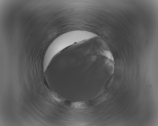 X0000080770139200701051311