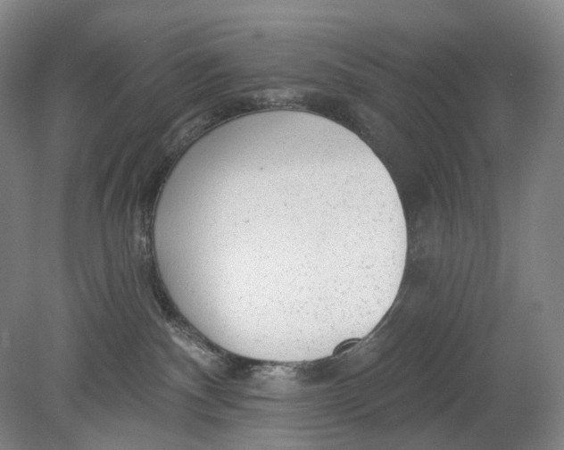 X0000080770140200701051311