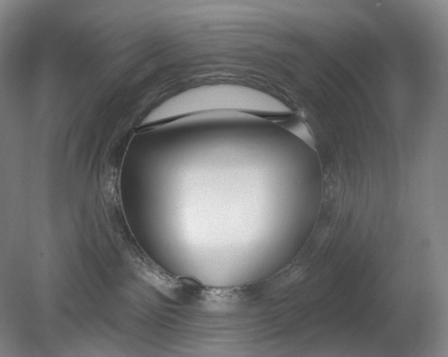 X0000080770141200701051311