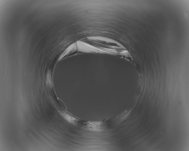 X0000080770143200701051311