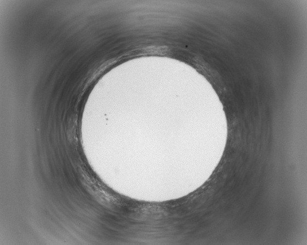 X0000080770146200701051310