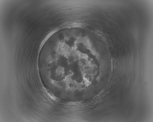 X0000080770147200701051311