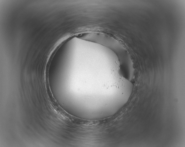 X0000080770148200701051311