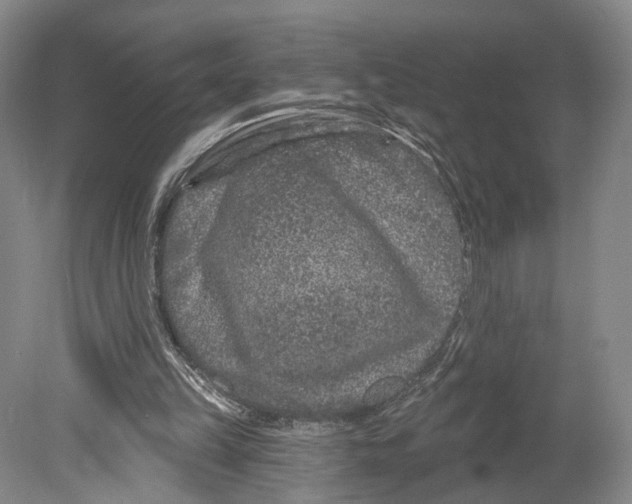 X0000080770149200701051311