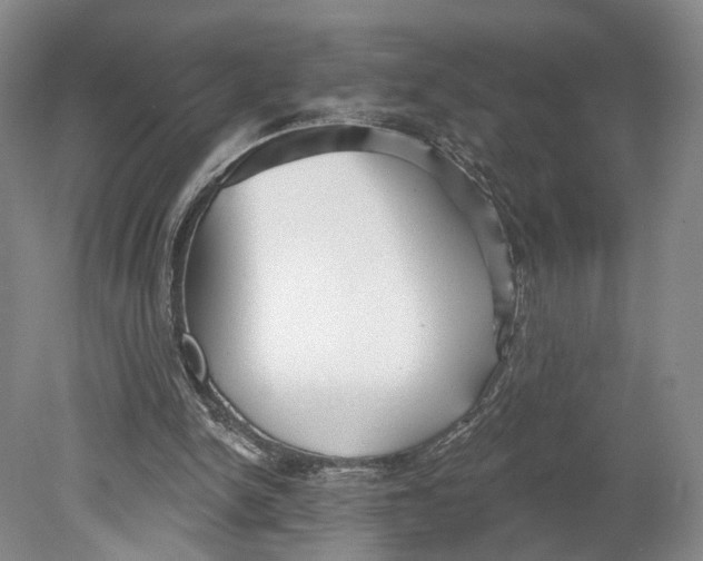 X0000080770150200701051311