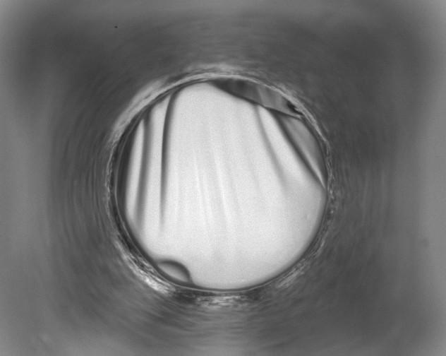 X0000080770151200701051311