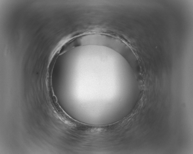 X0000080770152200701051311