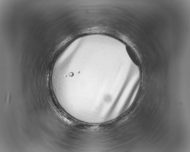 X0000080770153200701051311