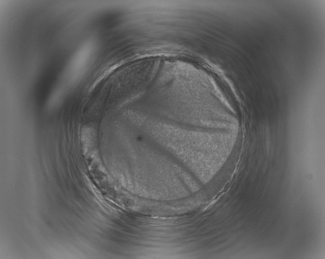 X0000080770154200701051311