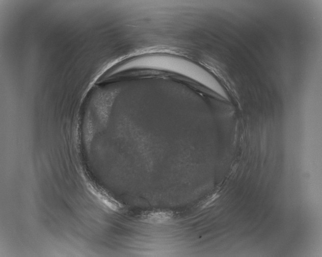 X0000080770156200701051311