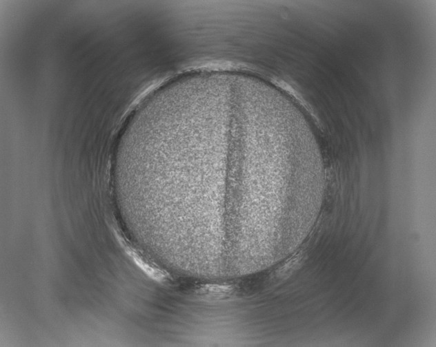 X0000080770159200701051311