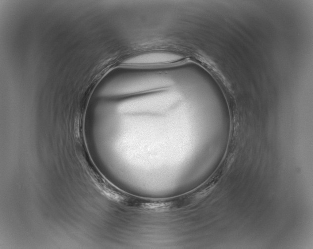 X0000080770161200701051311