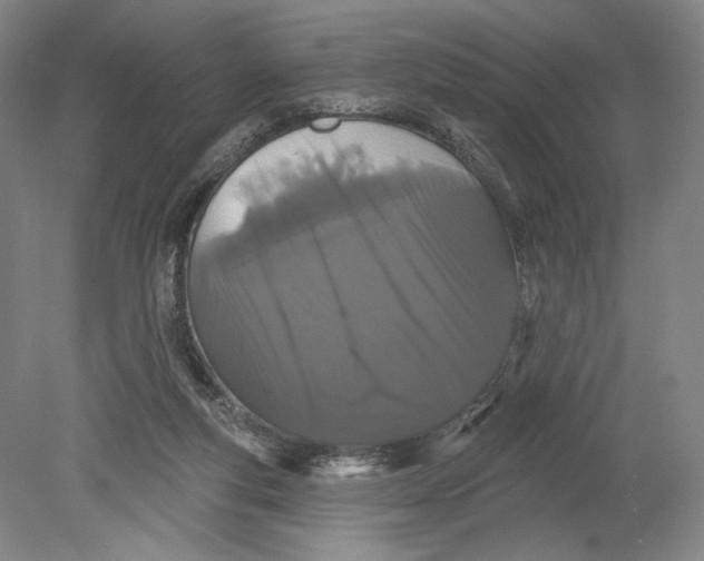 X0000080770163200701051311