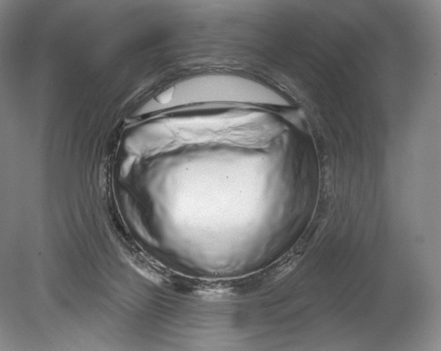 X0000080770165200701051311