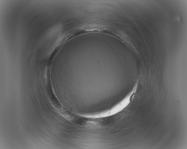 X0000080770167200701051311