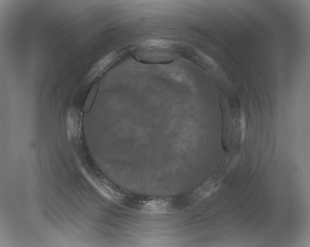 X0000080770168200701051311