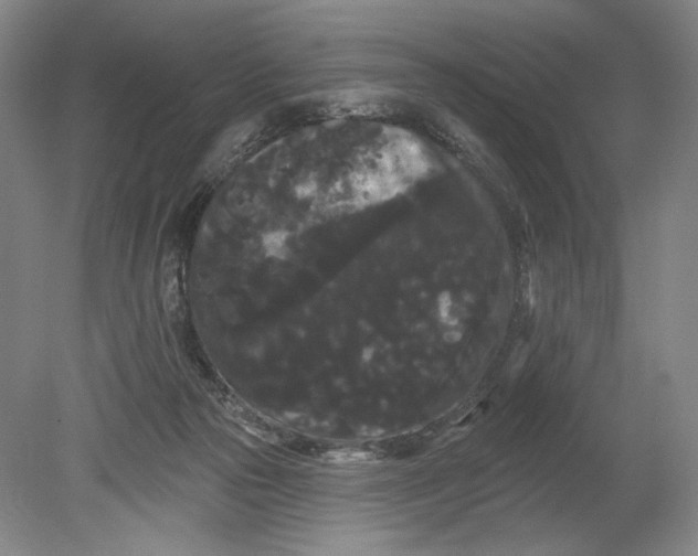 X0000080770169200701051311