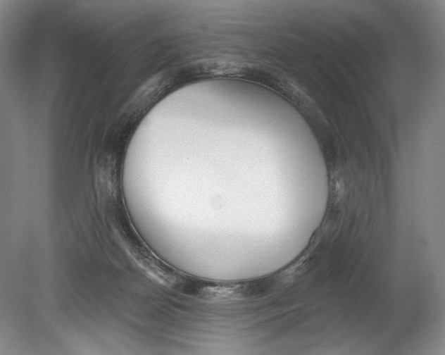 X0000080770170200701051311