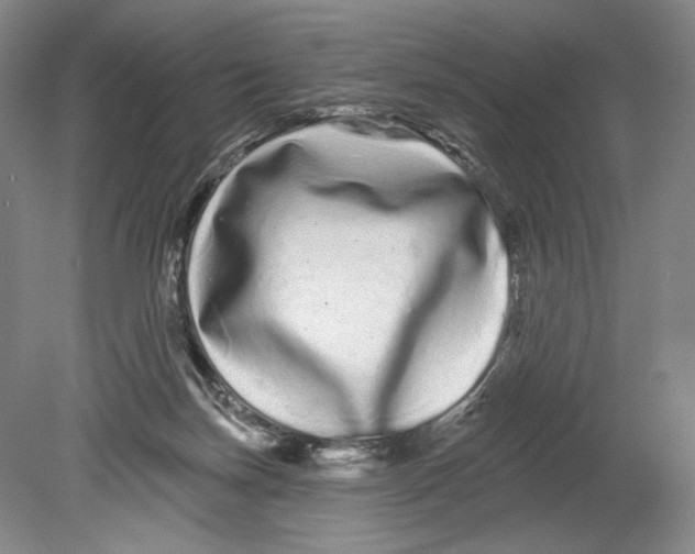 X0000080770171200701051311