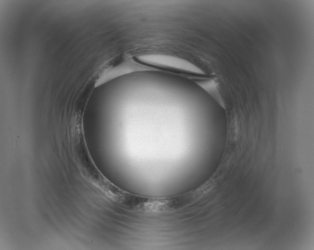 X0000080770172200701051311