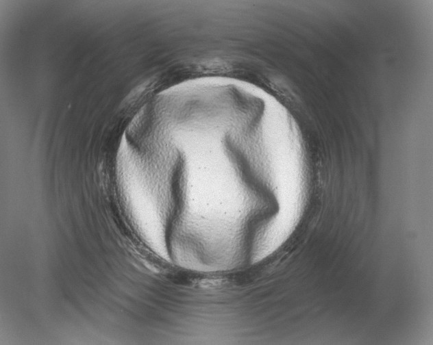 X0000080770173200701051311