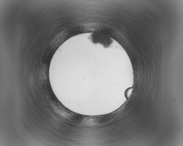 X0000080770174200701051311