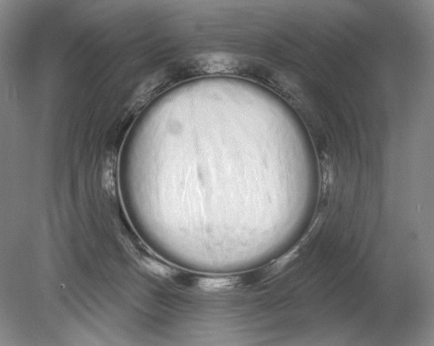 X0000080770175200701051311