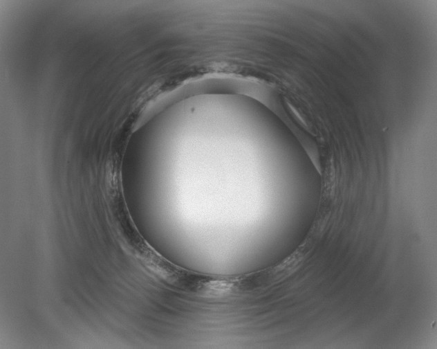 X0000080770176200701051311