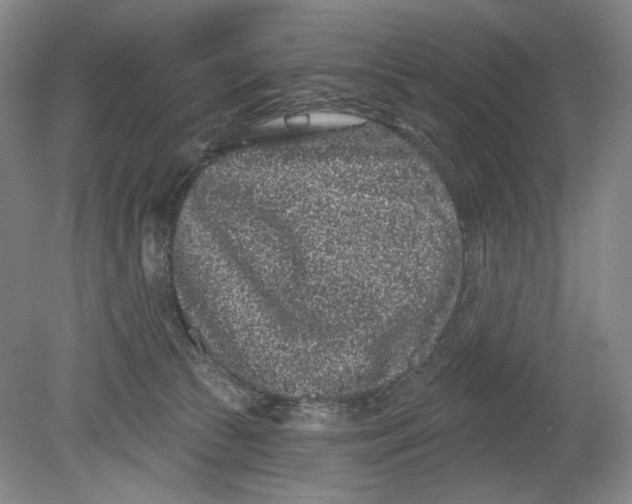 X0000080770177200701051311