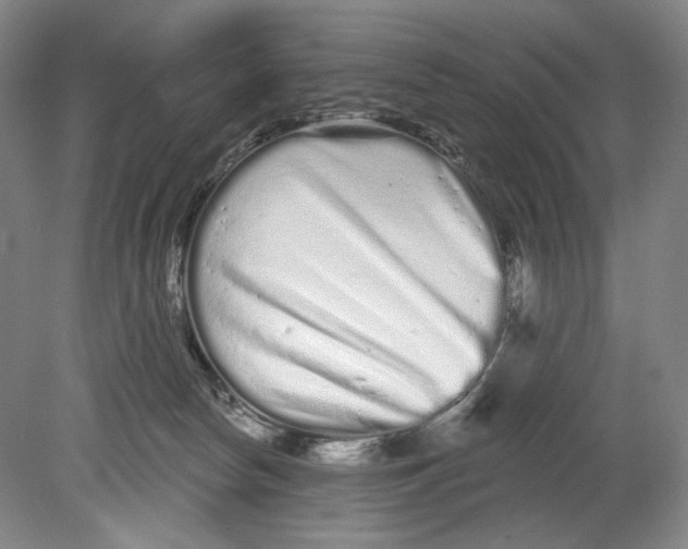 X0000080770178200701051311