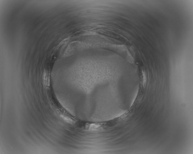 X0000080770180200701051311