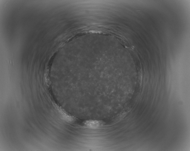 X0000080770181200701051311